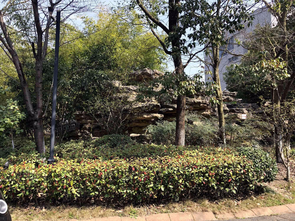 放鹤洲花园南区小区图片