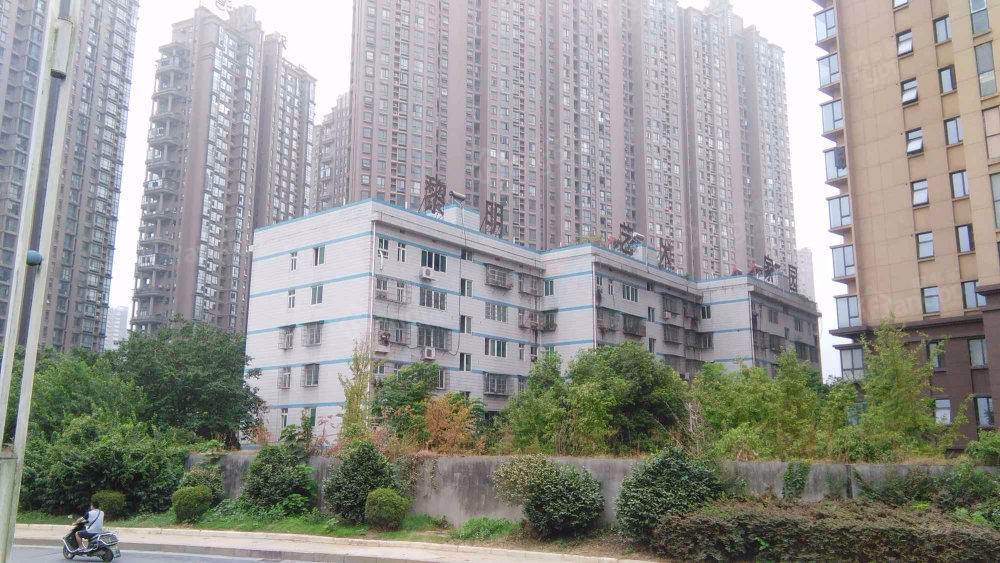 黎明艺术家园小区图片