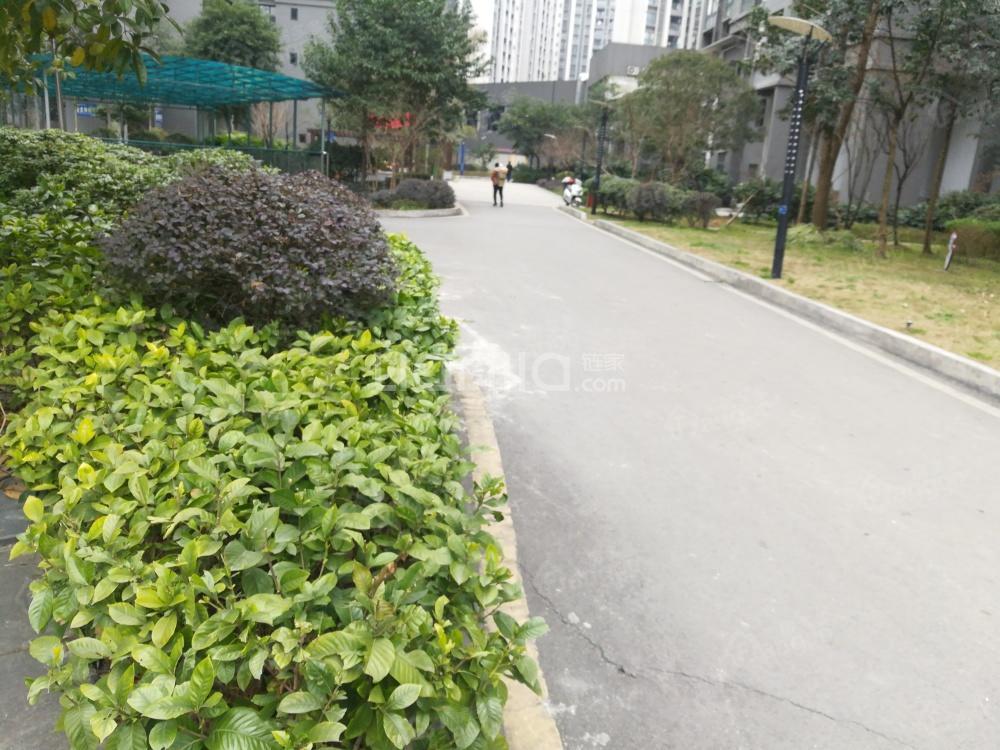 黔龙阳光国际小区图片