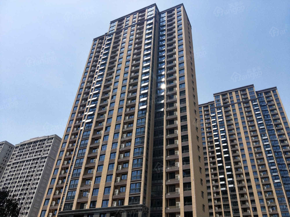 中南世纪城八期（4B景城一区）图片