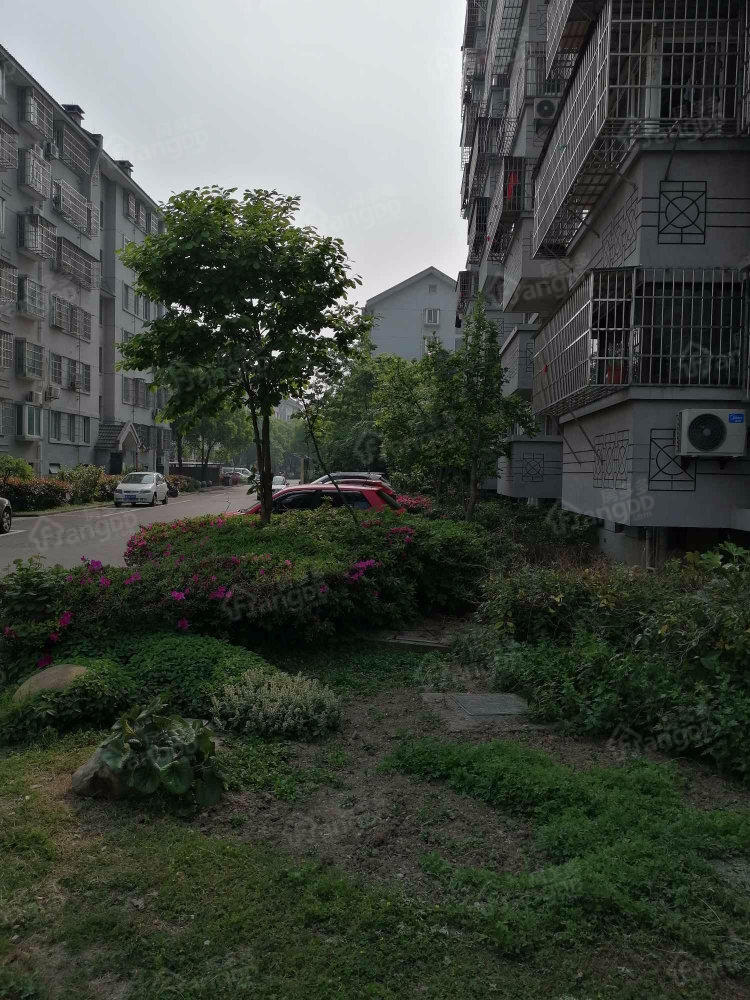 东方新家园南区小区图片