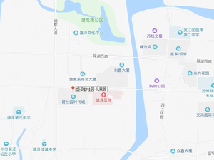 盛泽碧桂园·凤凰荟