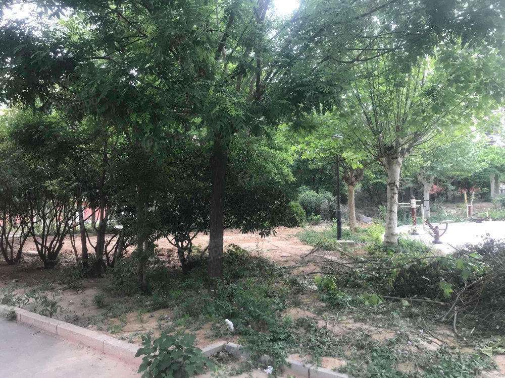 祥和居小区图片
