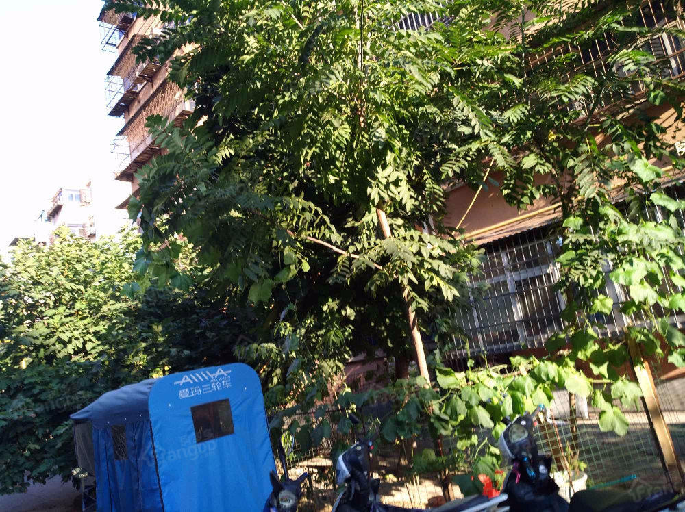 邮电小区小区图片
