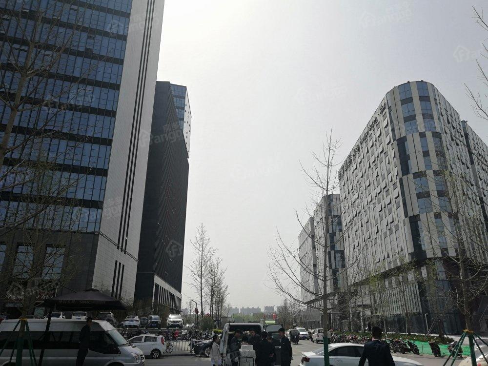 SPRING+钛茂小区图片