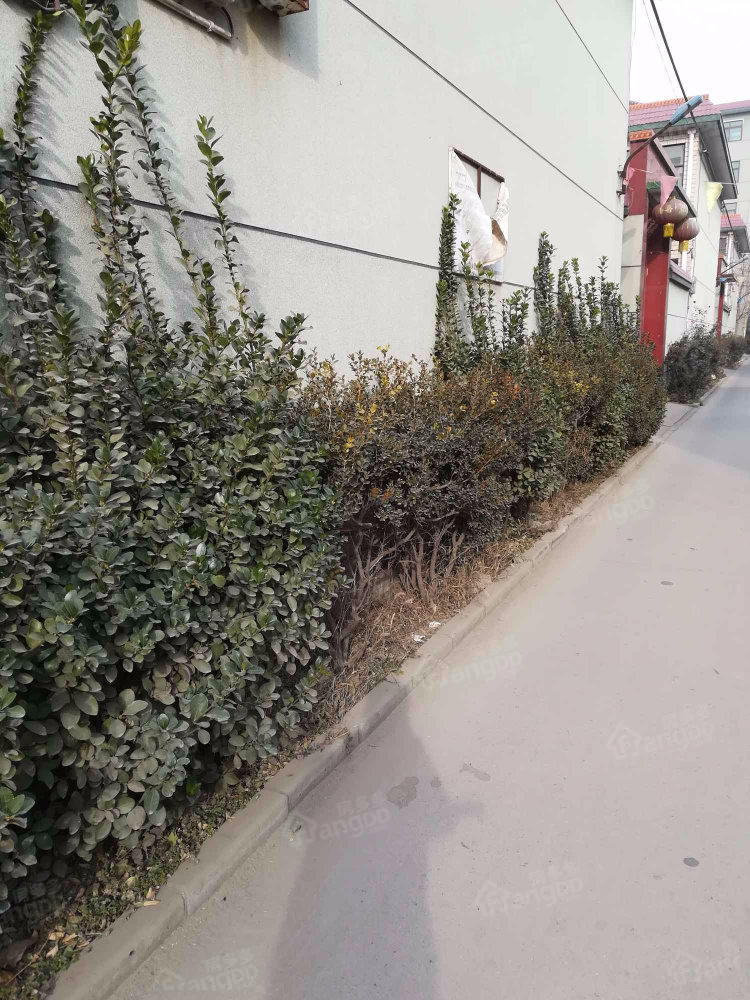 金谷小区小区图片