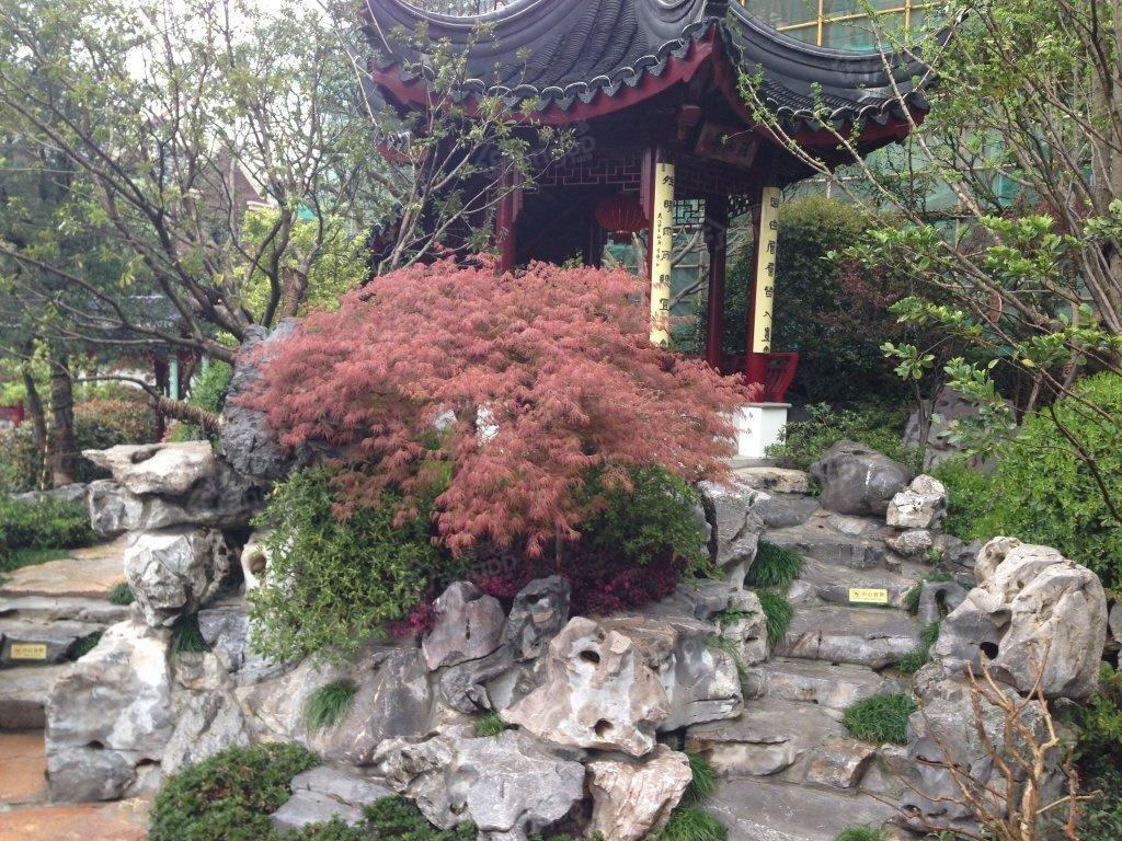 三盛颐景园(别墅)小区图片