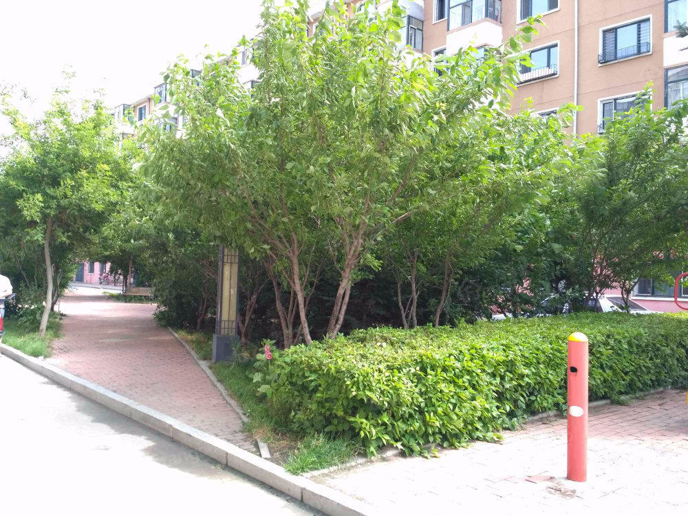 福顺家园(北区)小区图片