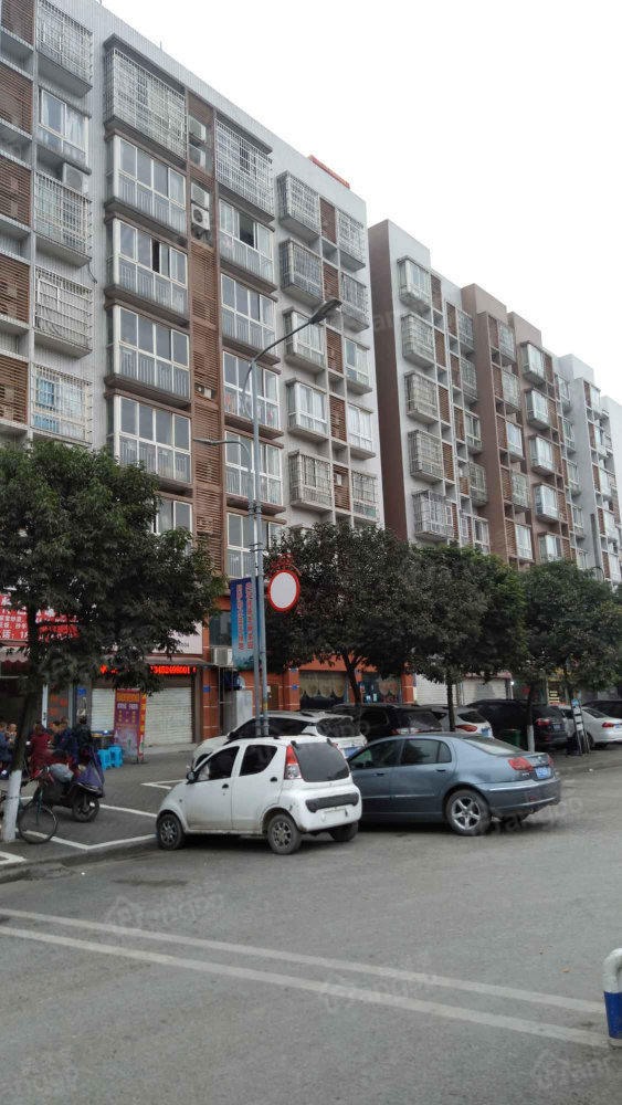 花卉茗居小区图片