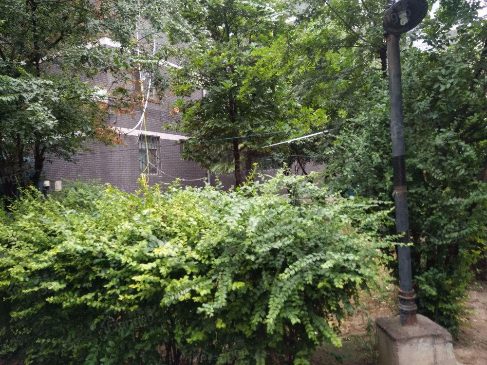 卧龙小区小区图片