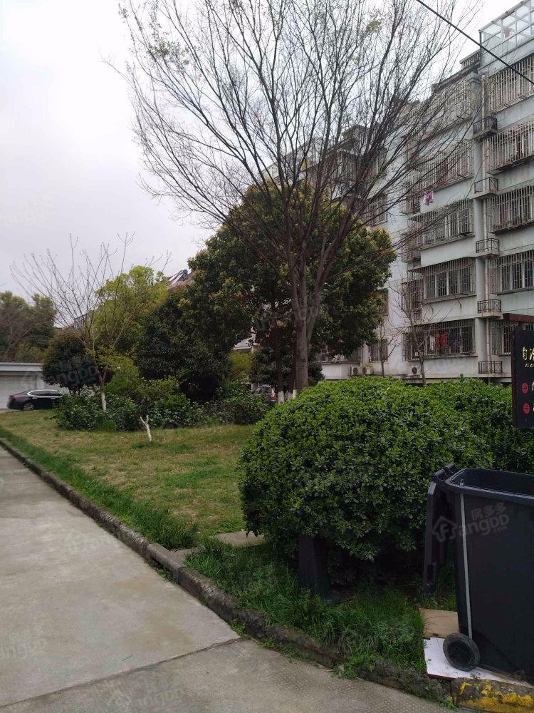 金菊花苑小区图片