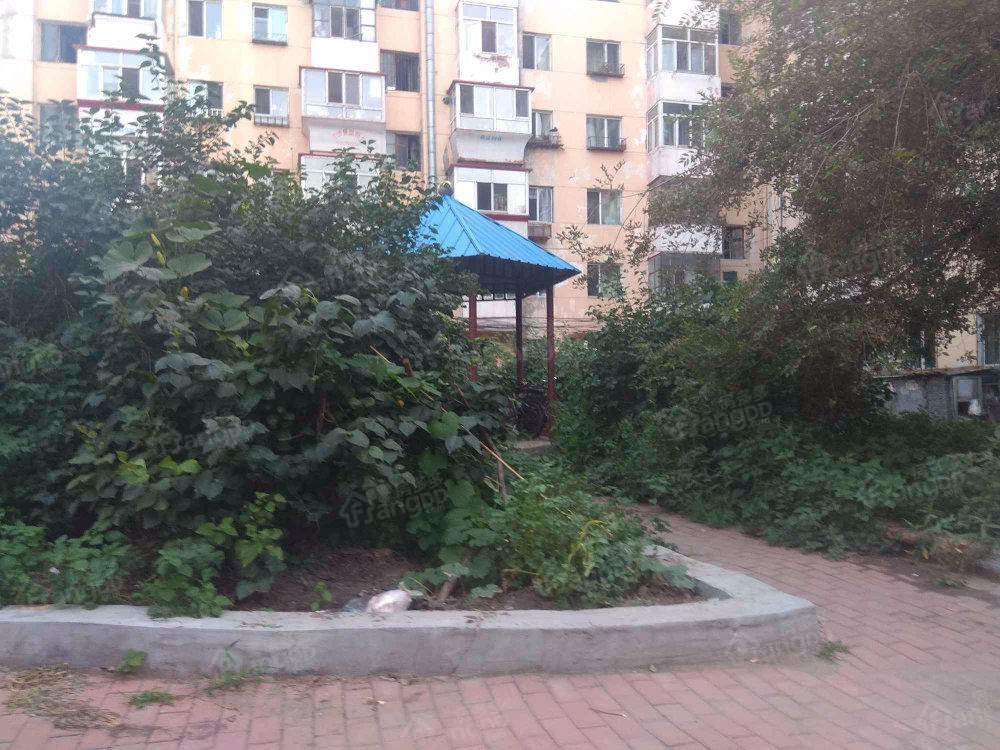经纬五道街小区小区图片
