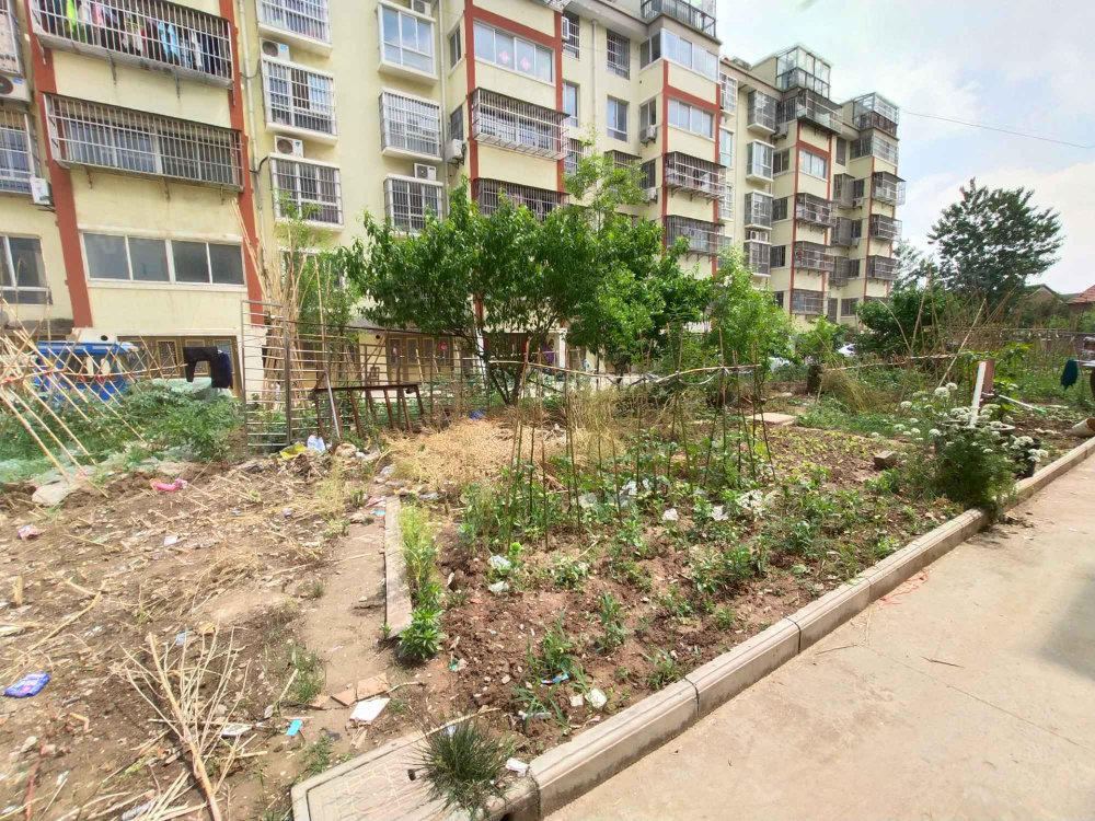 安居花园小区图片