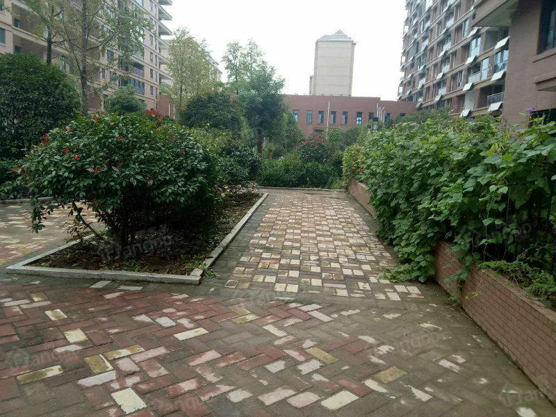 豪森名邸小区图片