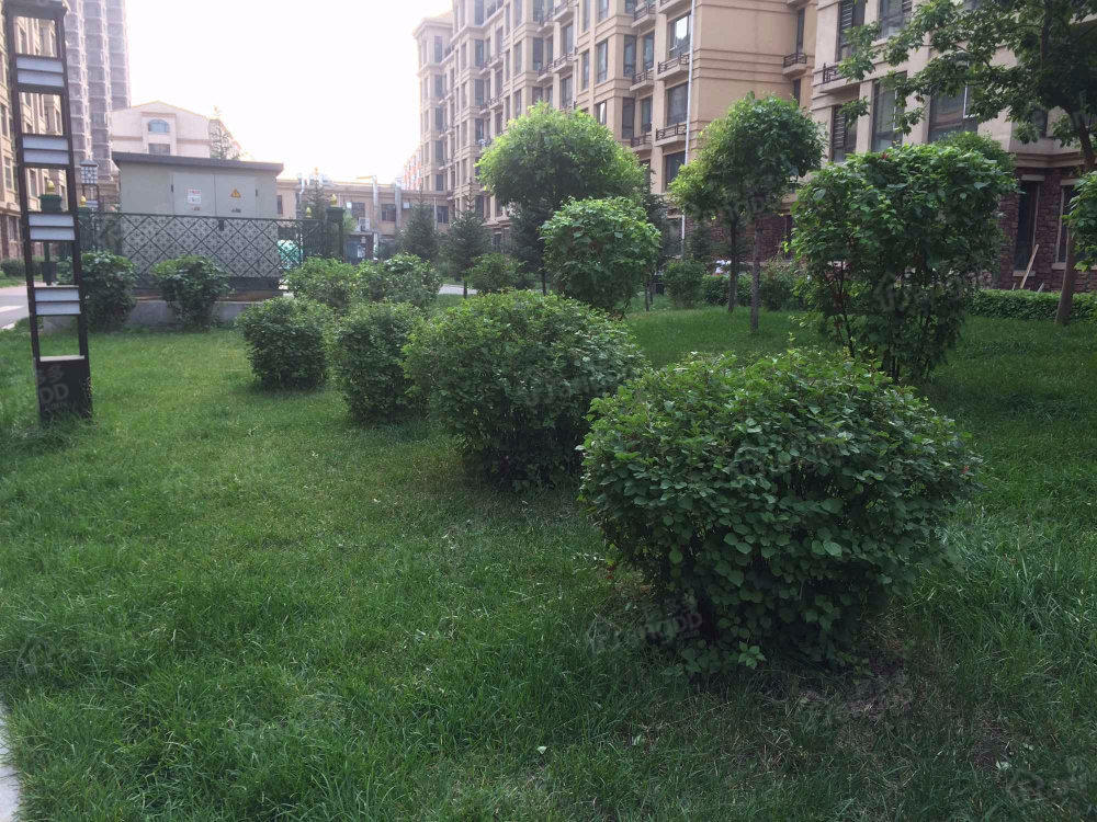 金色人文小区图片