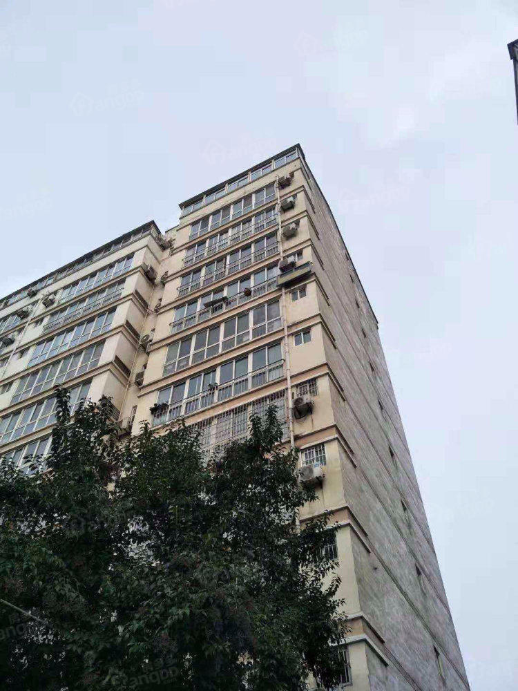 曲景花园图片