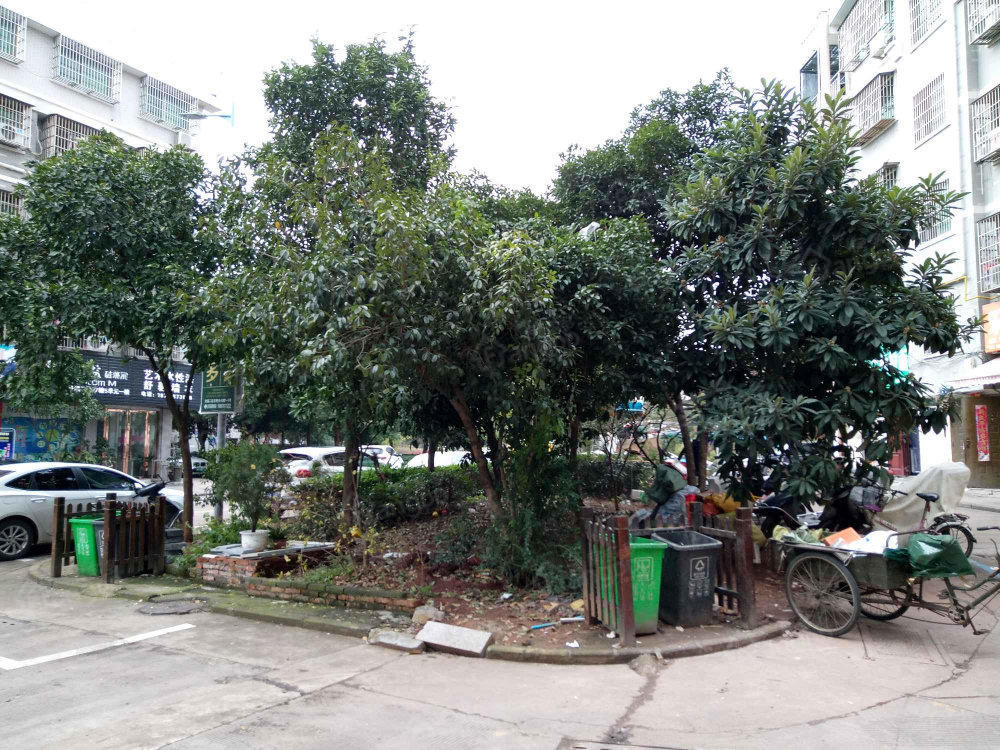 丹溪二区小区图片