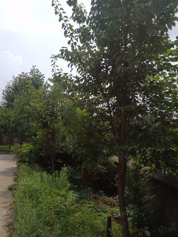 老山青峰居小区图片