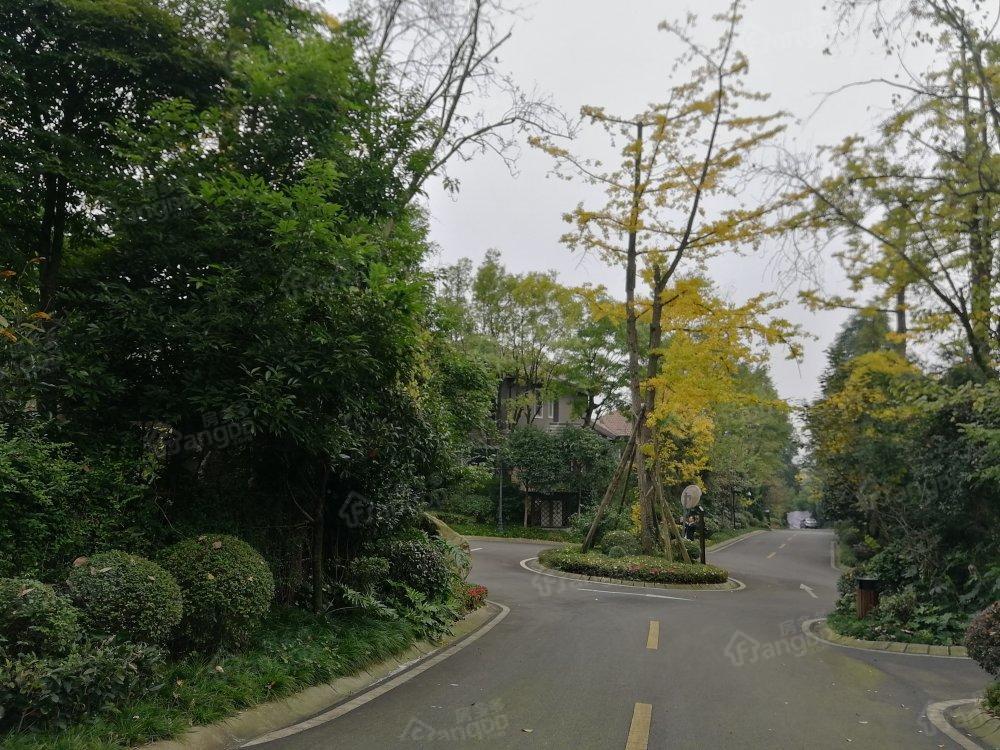 逸岭锦江小区图片
