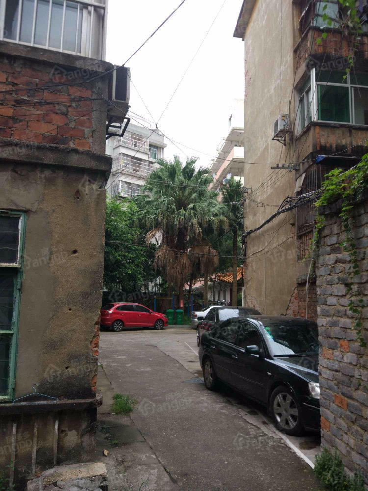 市二医院宿舍小区图片