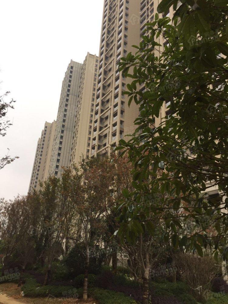 嘉宇银杉小区图片