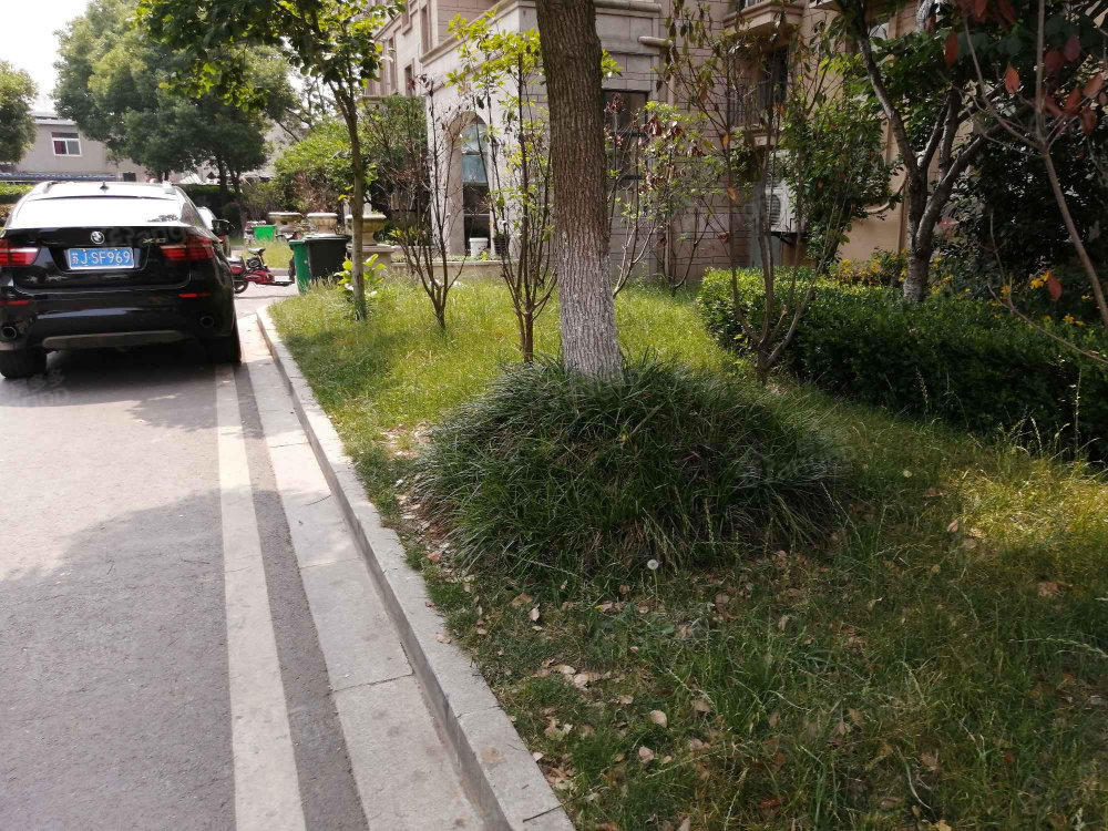 欧堡利亚尊园小区图片