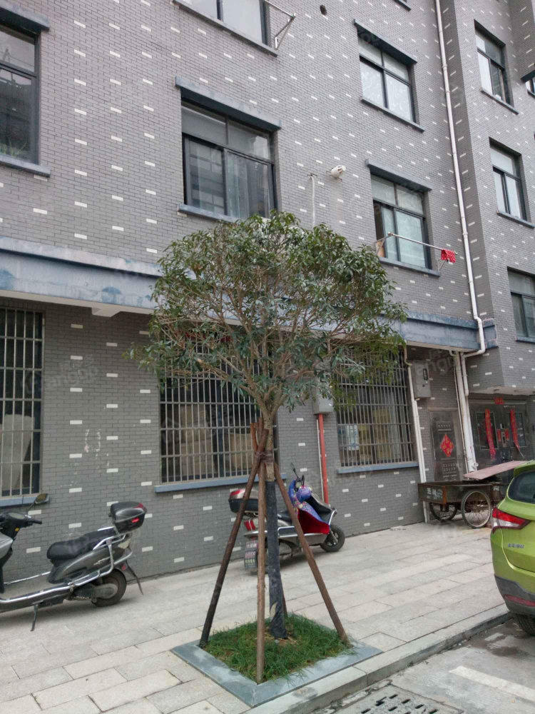 湖山新村一区图片