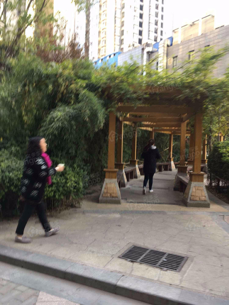 中登悦园小区图片