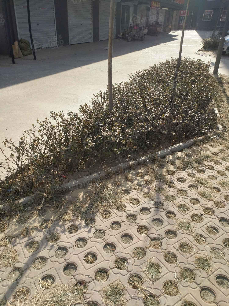 丽景花园小区图片
