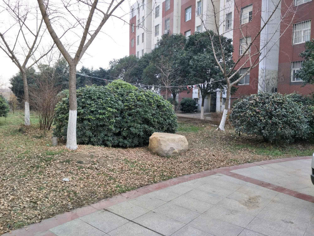 景泰小区小区图片