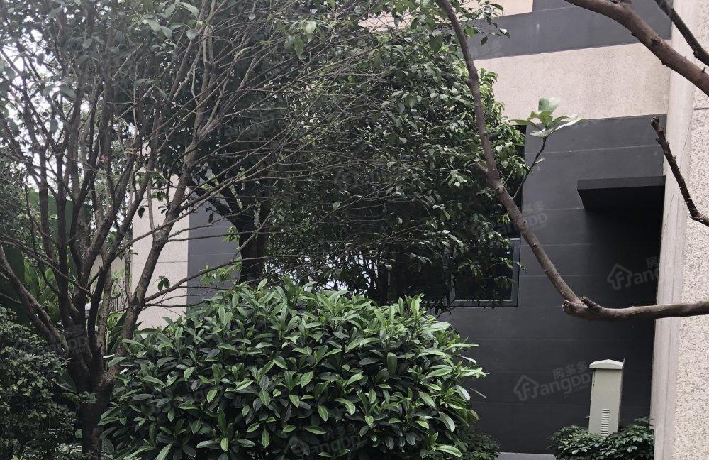 万科悦江南图片
