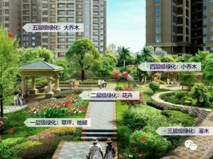 宝山壹号