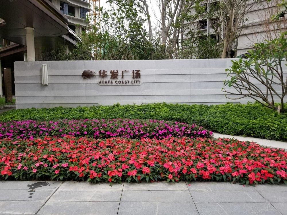 华发广场小区图片