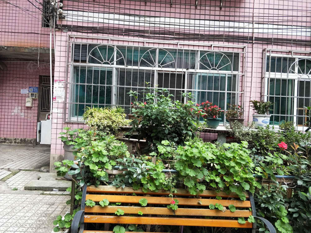 佳和苑小区小区图片