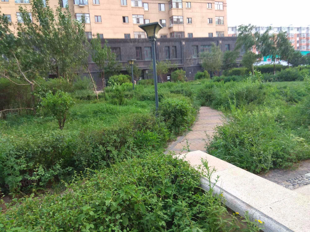 萧乡明珠(一期)小区图片