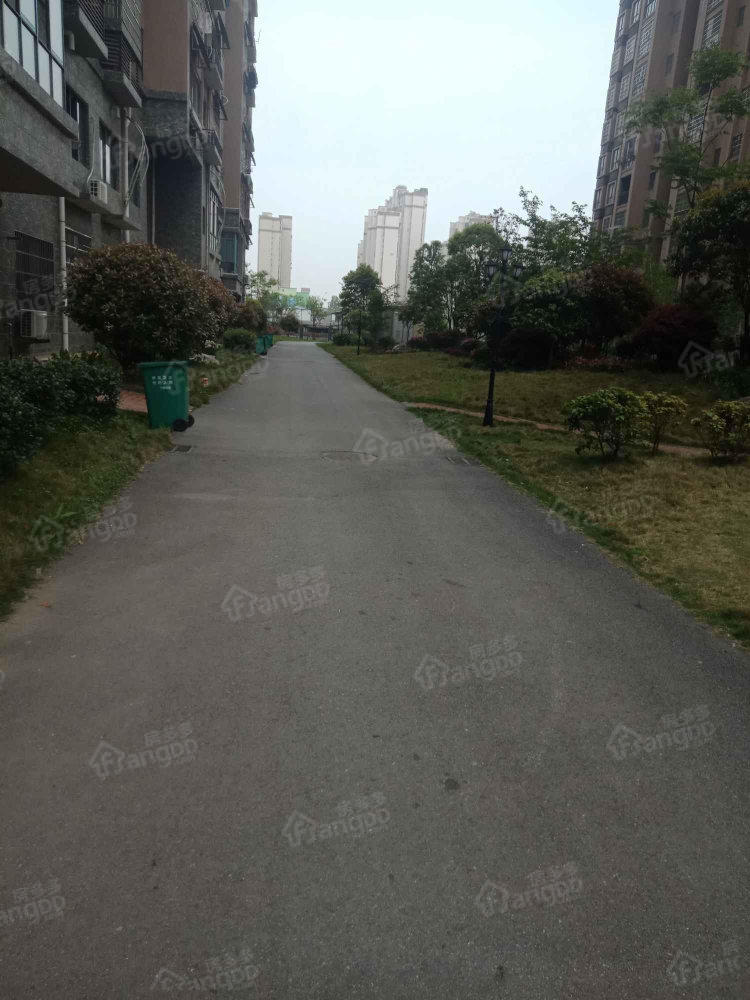外滩花园图片