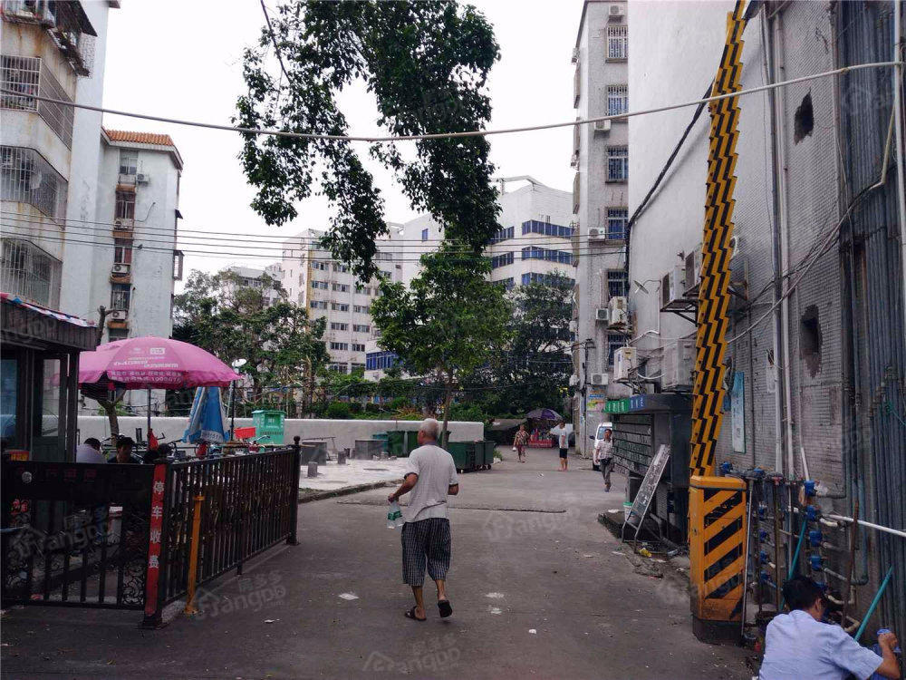 锦丰苑图片