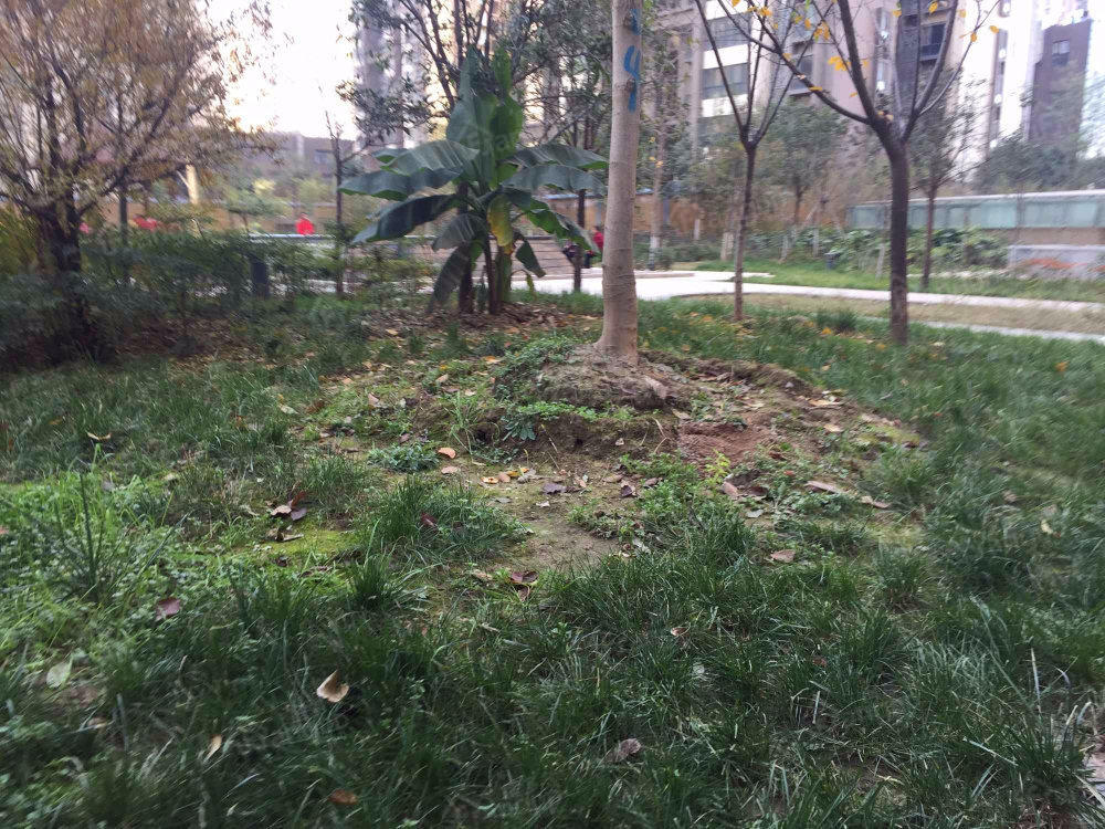航天星苑小区图片