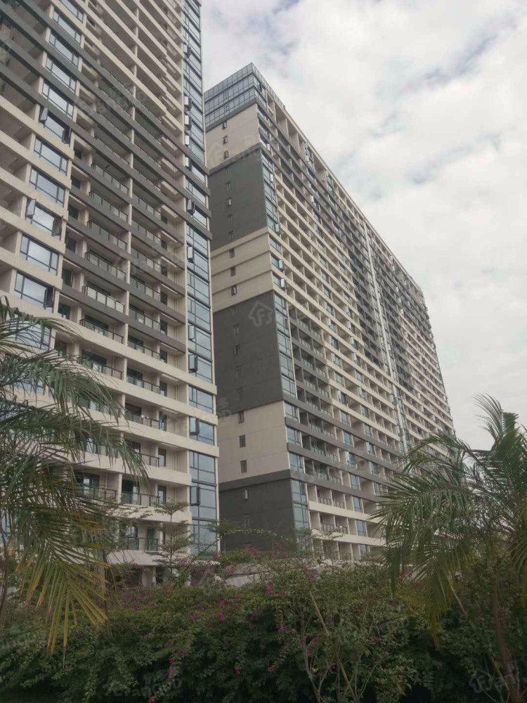 信基广场小区图片