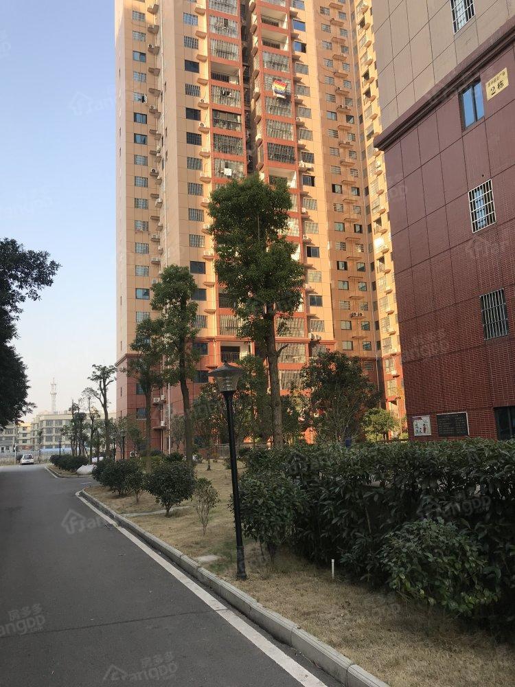 厚朴国际商业广场小区图片