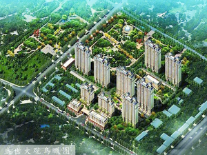 盛世大观