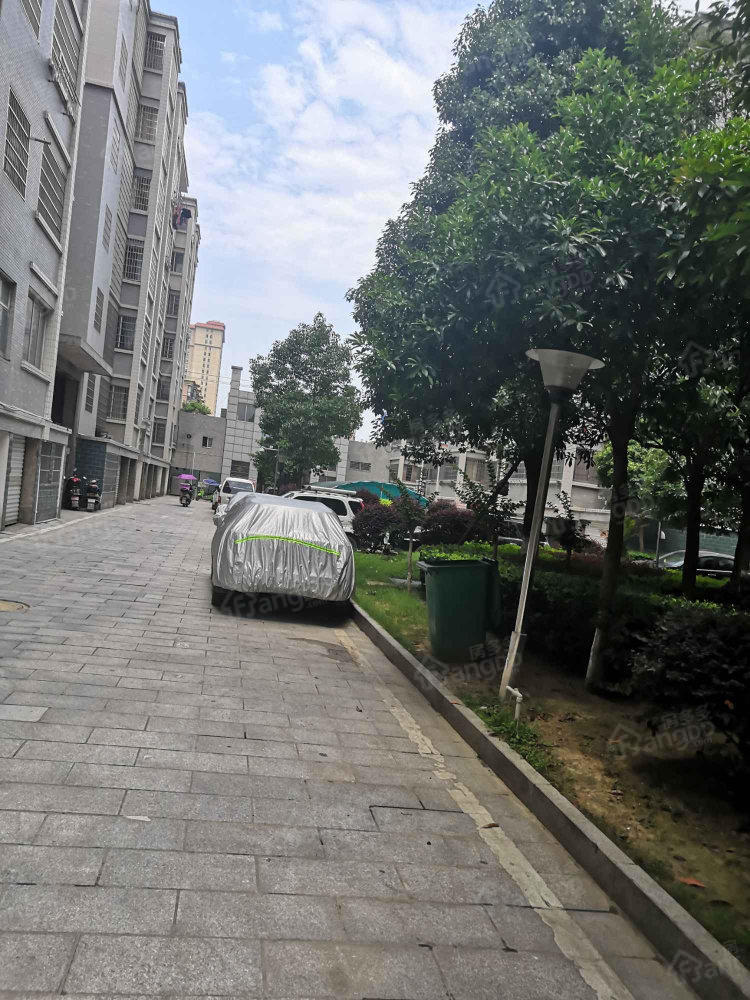 书香名邸(澧县)小区图片