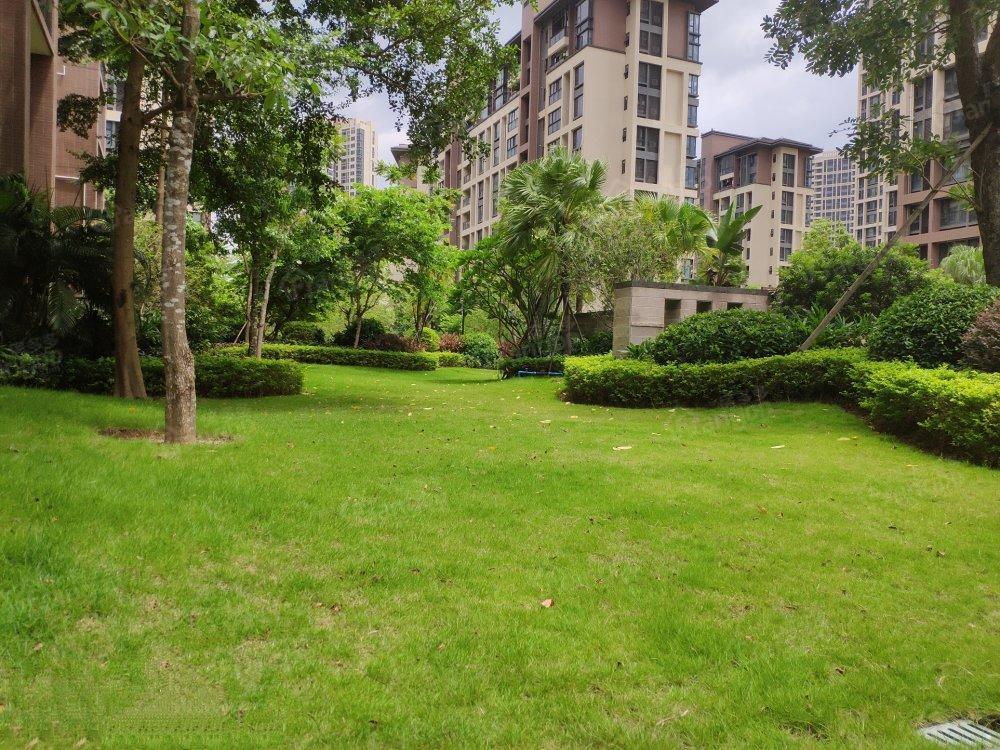 诚丰雅园小区图片