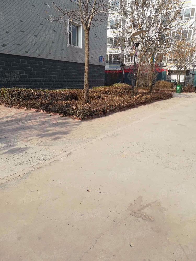府东小区小区图片
