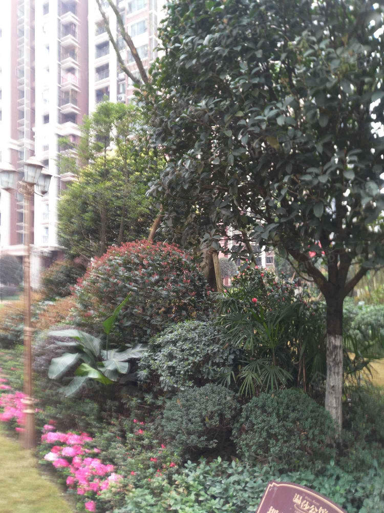 温莎公馆小区图片