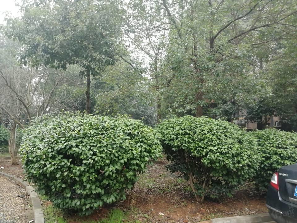 远通苑小区图片
