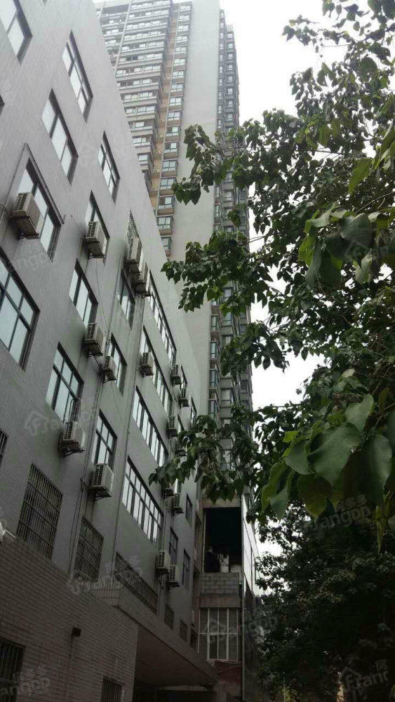 嘉禾公馆小区图片