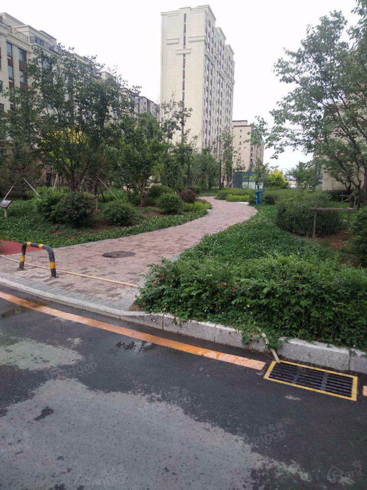 领秀蓝珀湖三期小区图片