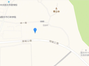 宝业·花街风情