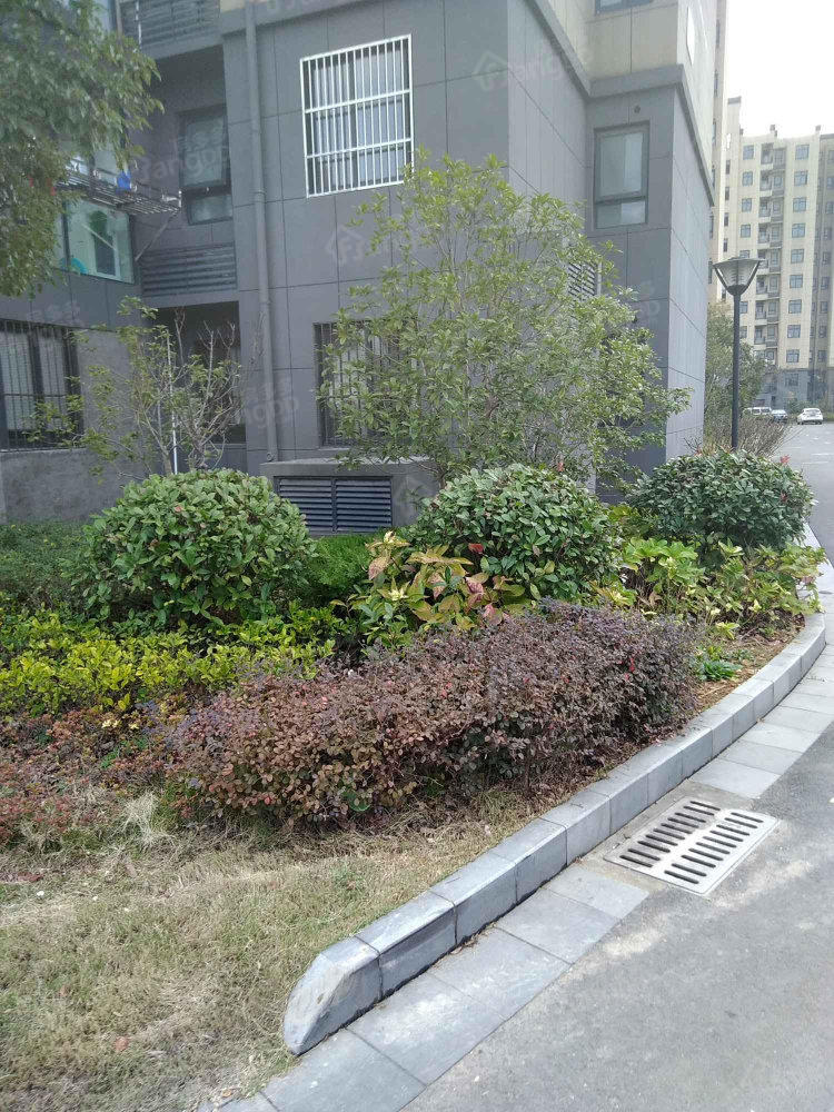 梅林苑小区图片